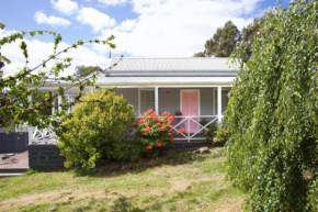 Sweet Retreat - central, immersive, pet friendly, renovated, cute!